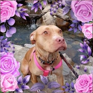 Meet your Posher, Roberta